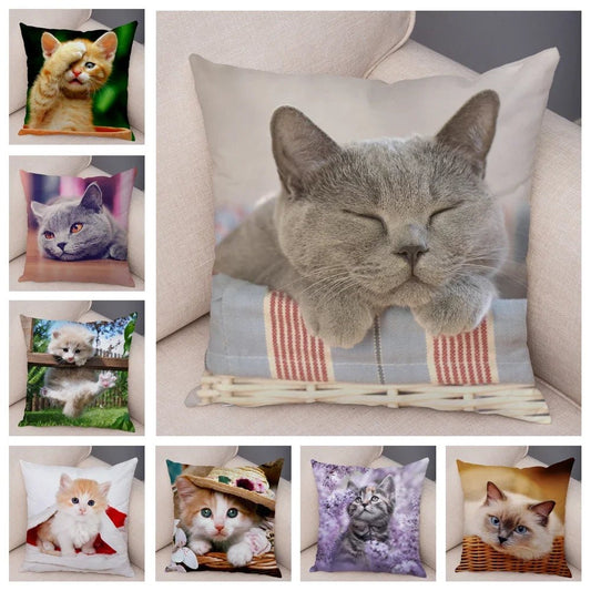 Cute Cat Print Cushion Cover | Funny Decorative Cushion - VarietyGifts