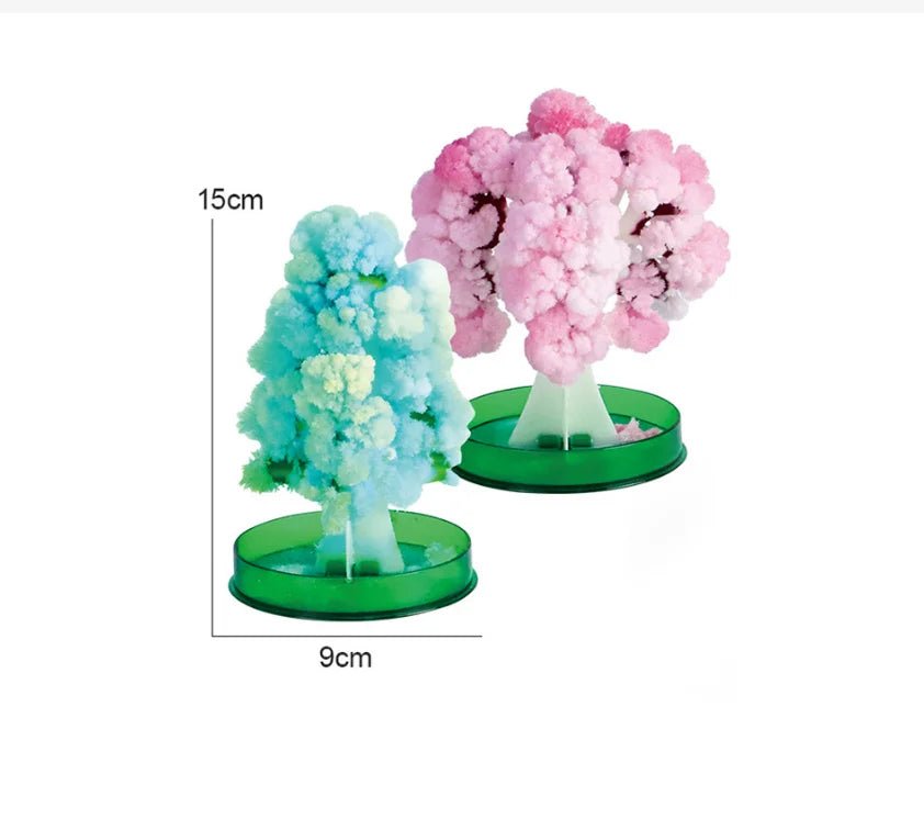 Grow Your Own Trees | Takes Just 24 Hours, DIY Educational Kids Toy - VarietyGifts