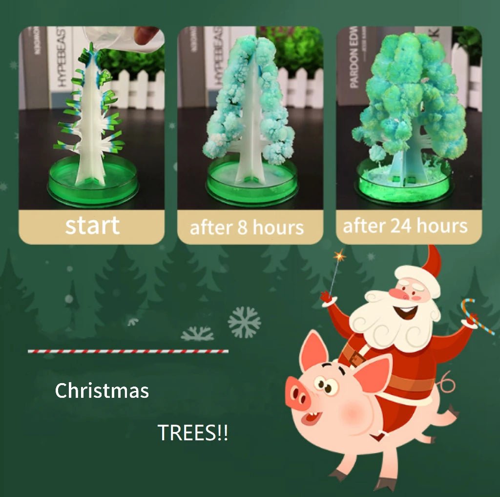 Grow Your Own Trees | Takes Just 24 Hours, DIY Educational Kids Toy - VarietyGifts