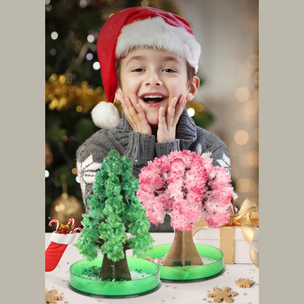 Grow Your Own Trees | Takes Just 24 Hours, DIY Educational Kids Toy - VarietyGifts