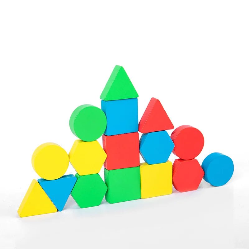 Montessori Wooden Shape Jigsaw | Educational Toys For Children - VarietyGifts